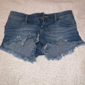 NEVER WORN Hollister jean shorts